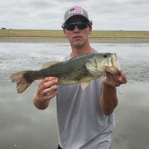 Meet your Posher, Ethan